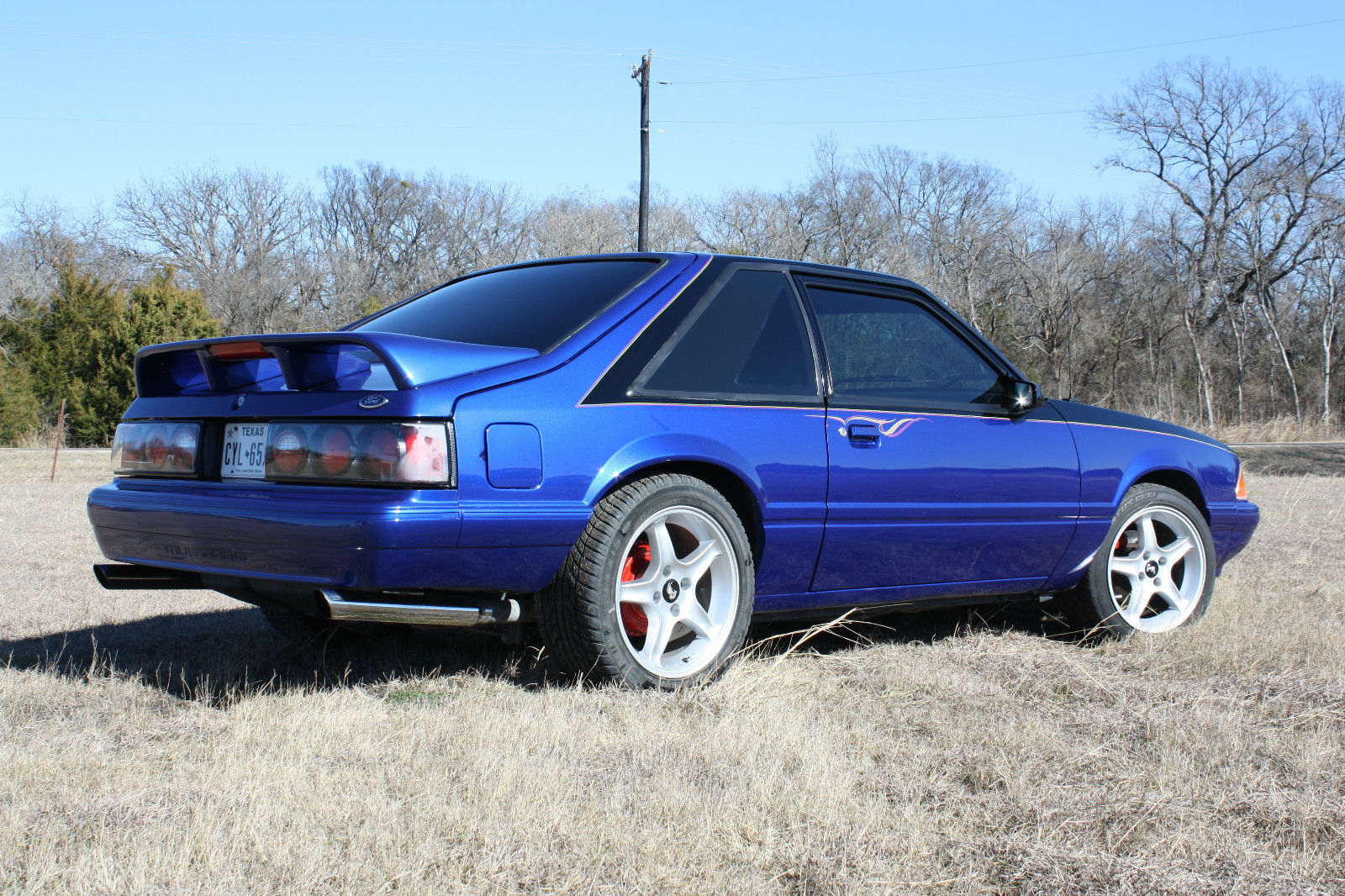 1989 Black/Blue Ford Mustang Hatchback