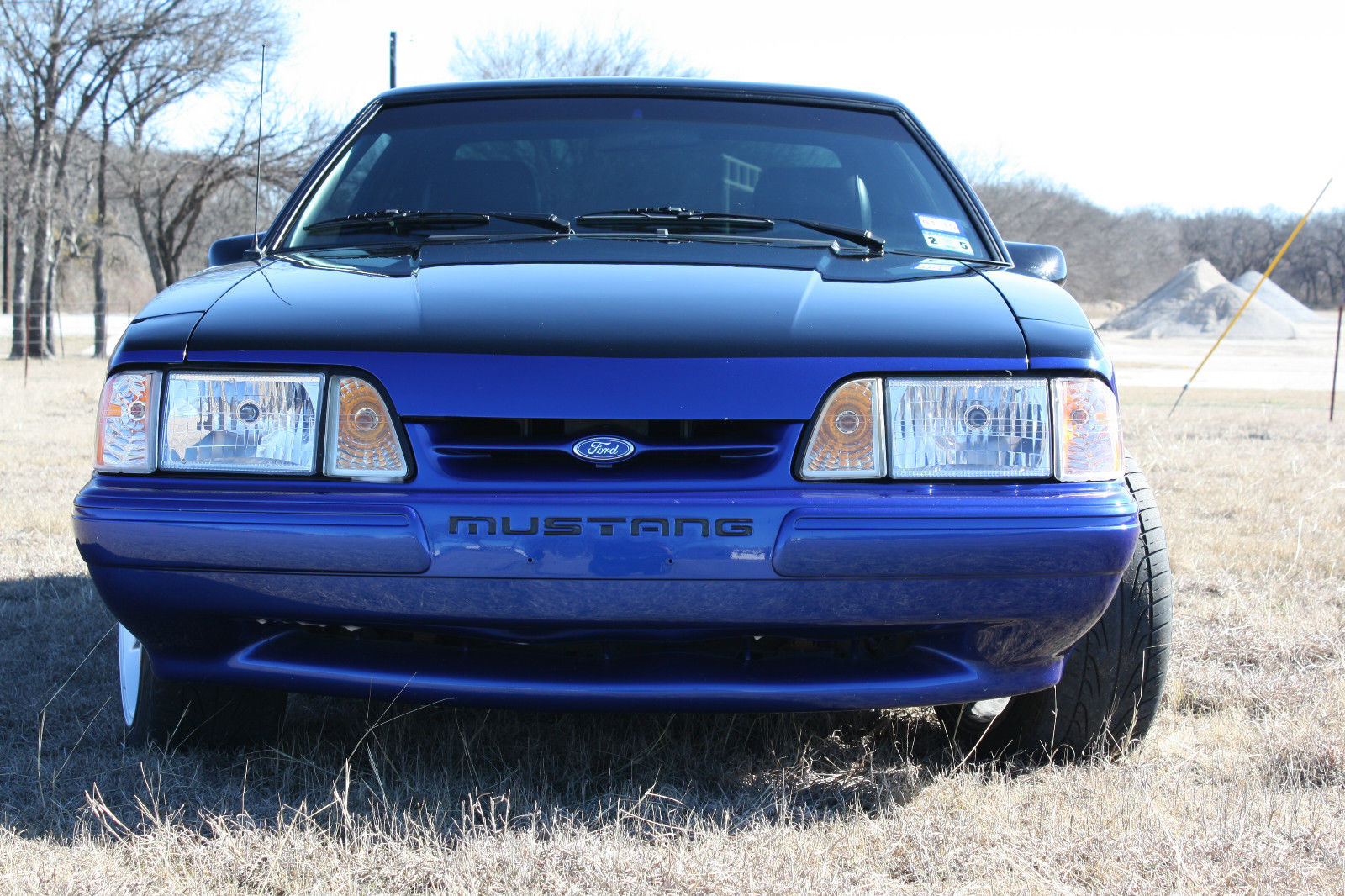 1989 Black/Blue Ford Mustang Hatchback