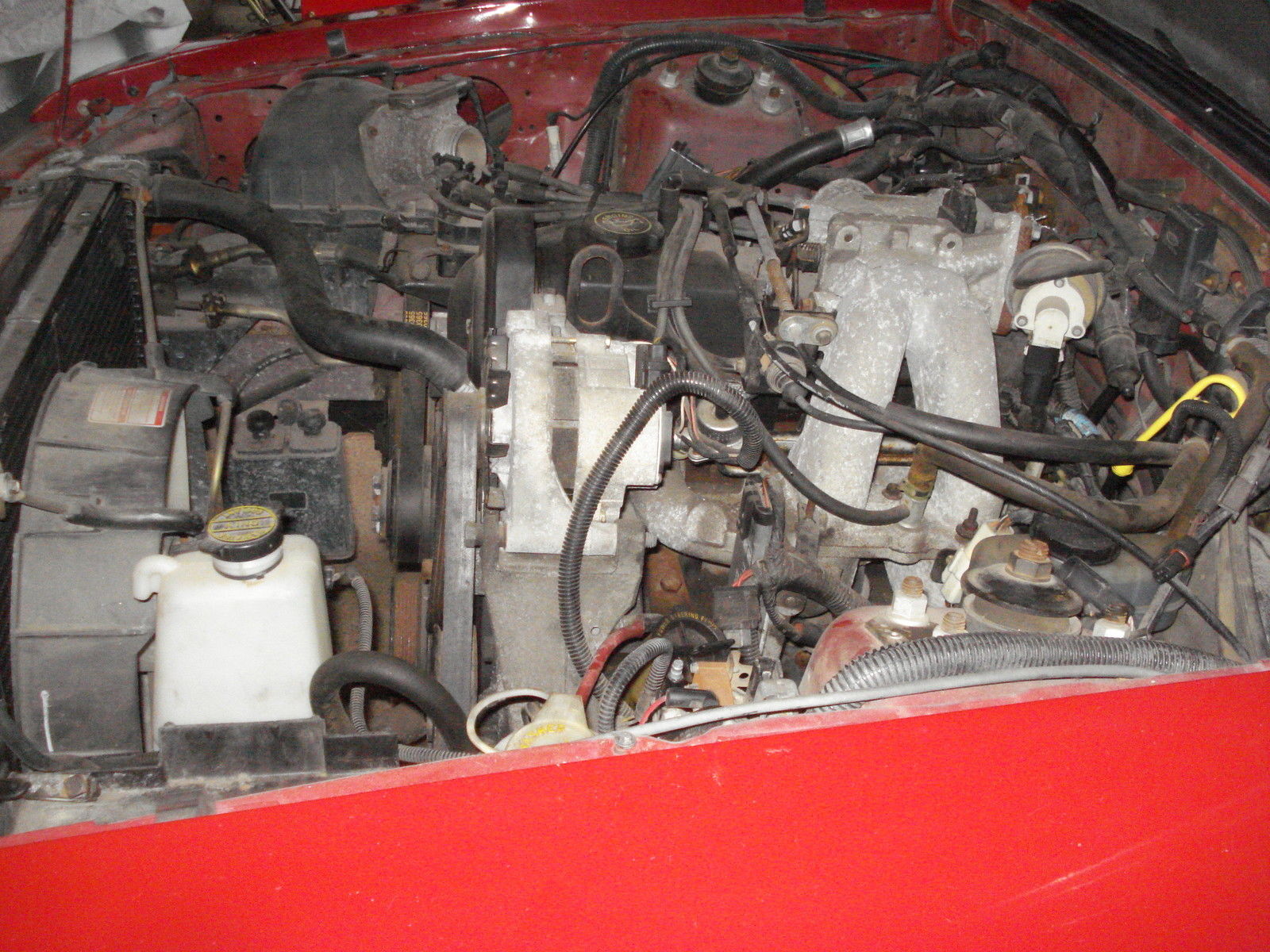 1989 STREWBERRY RED Ford Mustang Hatchback