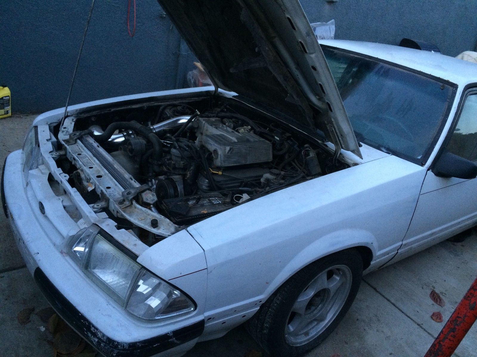 1989 Pearl White/Flat Black Ford Mustang Sedan