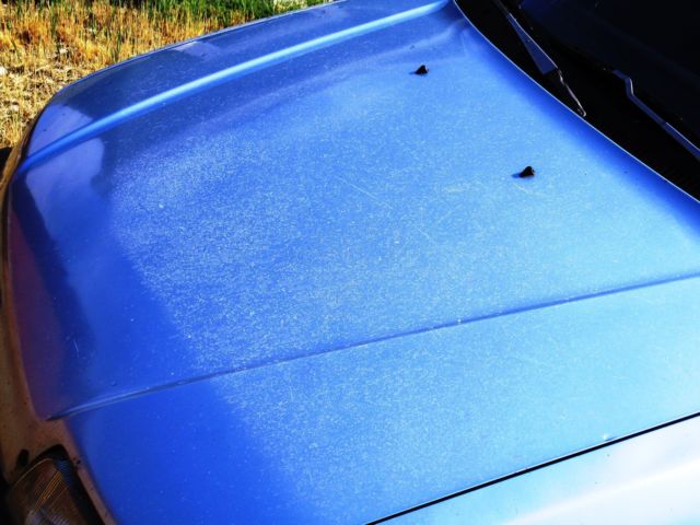 1989 Blue Honda Civic Wagon