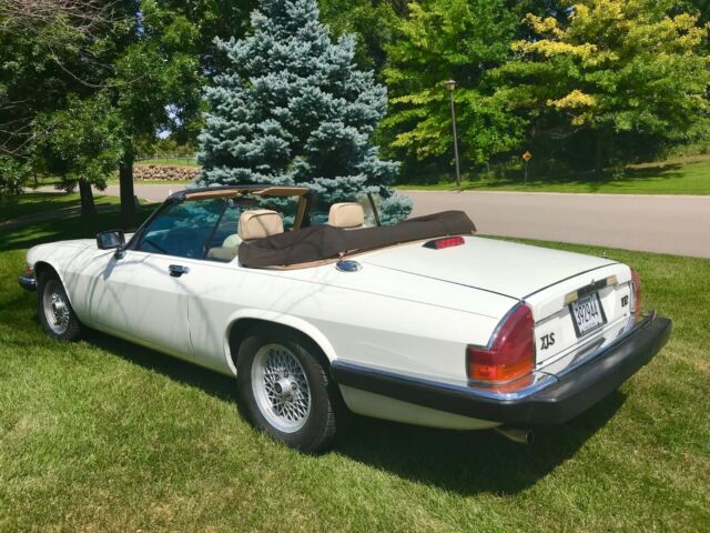 1989 Tan/White Jaguar XJS Convertible