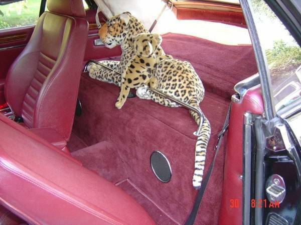 1989 Black Jaguar XJS Convertible