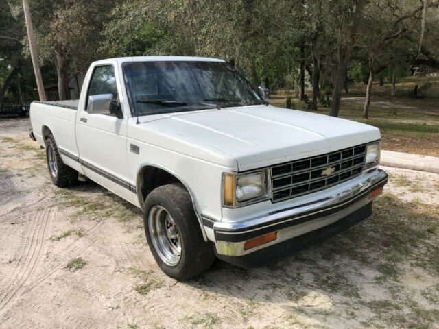 1989 White Chevrolet S-10 Standard Cab Pickup