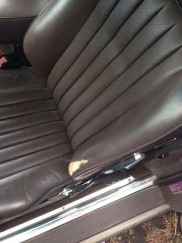 1989 Light Brown Mercedes-Benz SL-Class Convertible