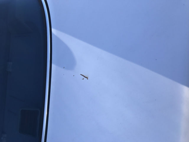 1989 white Mercedes-Benz 500-Series sedan