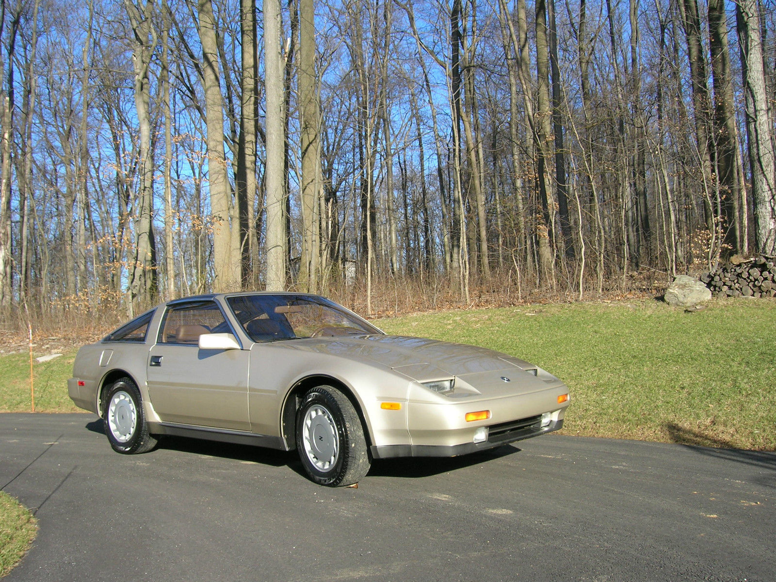 1989 Champagne Pearl Nissan 300ZX Coupe with T-Tops