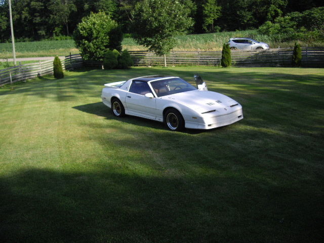 1989 white Pontiac Trans Am 2dr