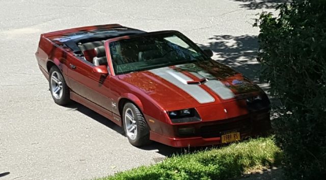 1989 Dark Red with Grey Stripes Chevrolet Camaro Convertible