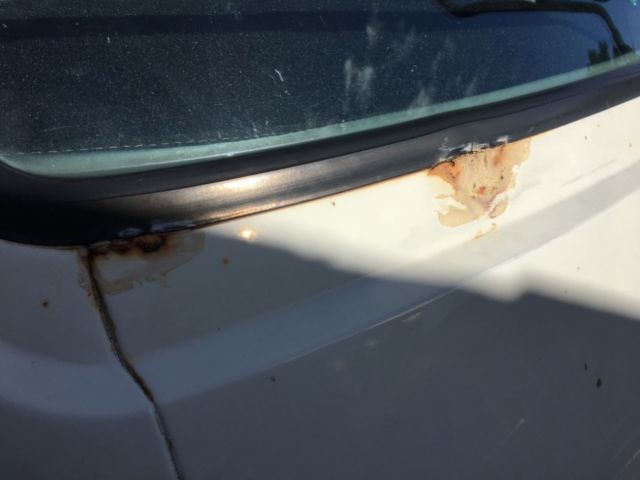 1989 White Volkswagen Bus/Vanagon Van Camper