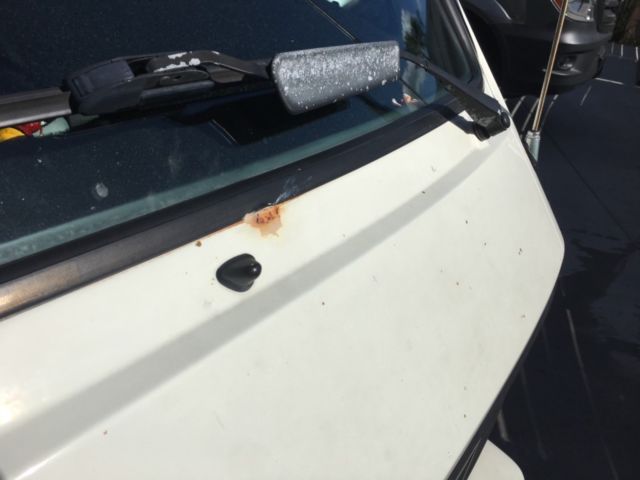 1989 White Volkswagen Bus/Vanagon Van Camper