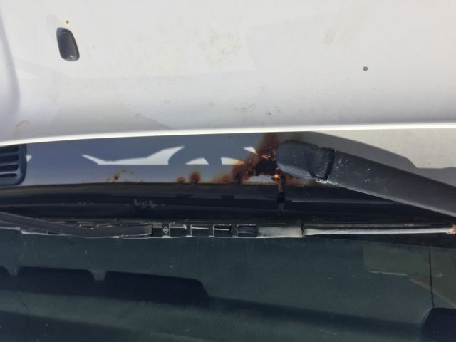 1990 Alpine White BMW M3