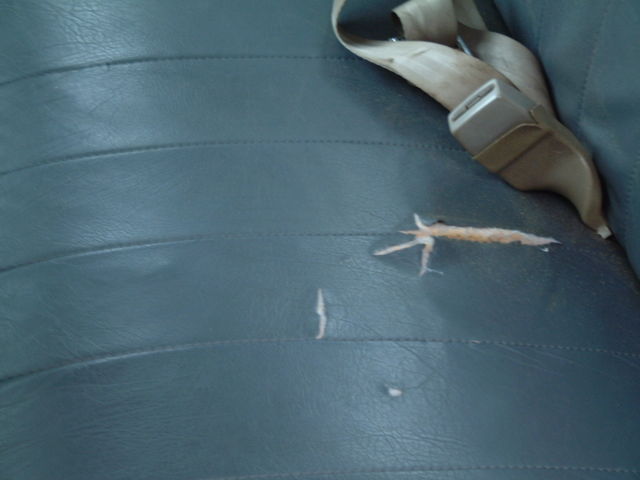 1990 White Dodge 250 Truck Standard Cab Pickup