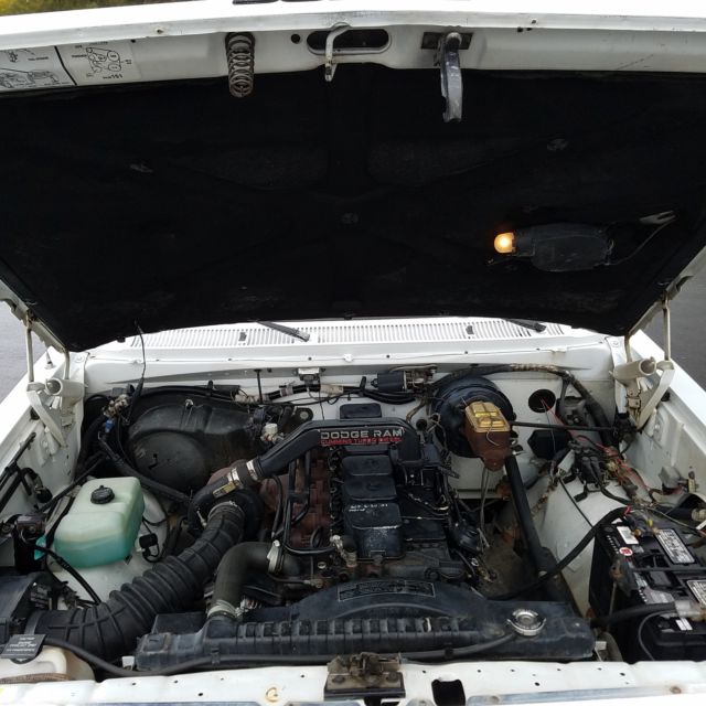 1990 Two Tone: White & Silver Dodge Other Pickups Cab & Chassis