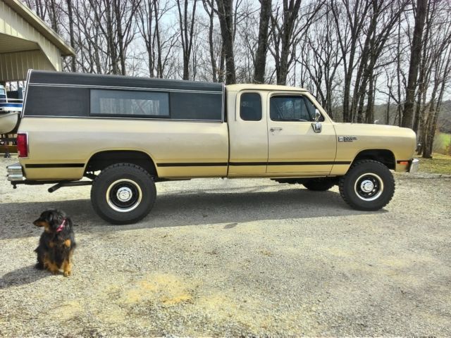 1990 Gold Dodge Other Pickups Extended Cab Pickup