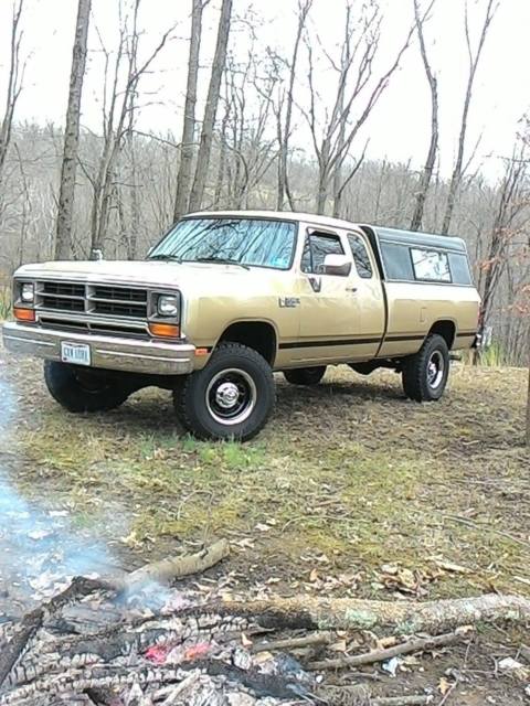 1990 Gold Dodge Other Pickups Extended Cab Pickup