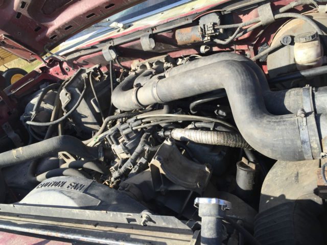 1989 Camo Ford F-250 Standard Cab Pickup