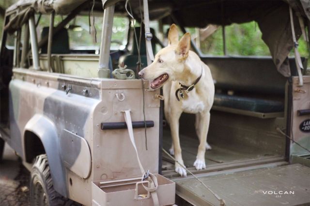 1980 Land Rover Defender