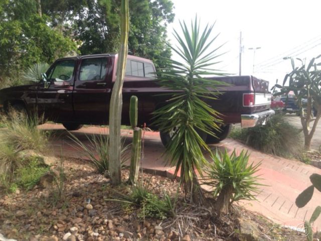 1990 Purple Chevrolet Other