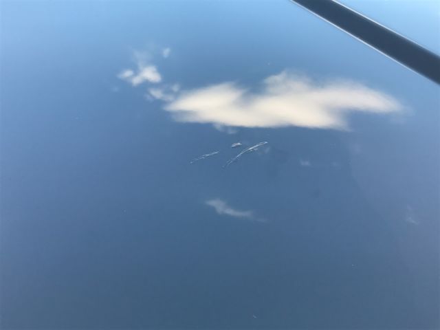 1991 Black BMW M5 Sedan