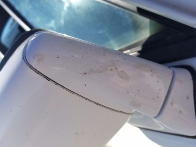 1991 White Porsche 911 Coupe