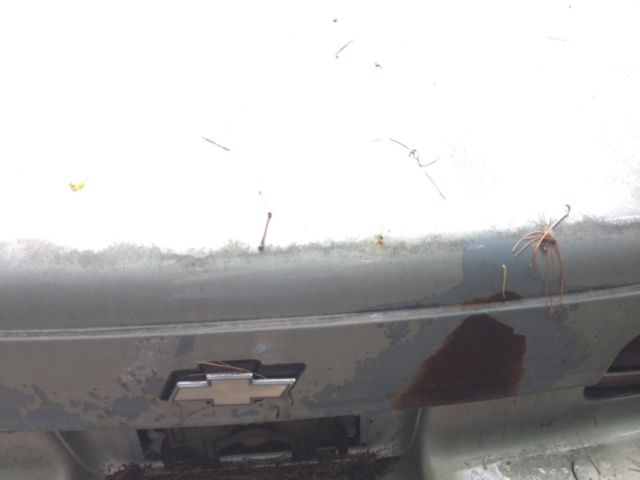 1991 Silver Chevrolet Capriceold Sedan