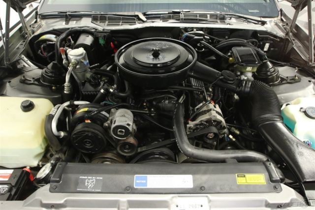 1991 Gray Pontiac Firebird