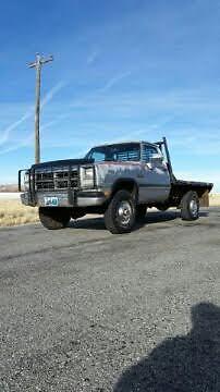 1991 SILVER Dodge Other Pickups STANDARD Cab Pickup