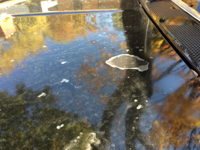 1991 Black Ford F-250 Standard Cab Pickup