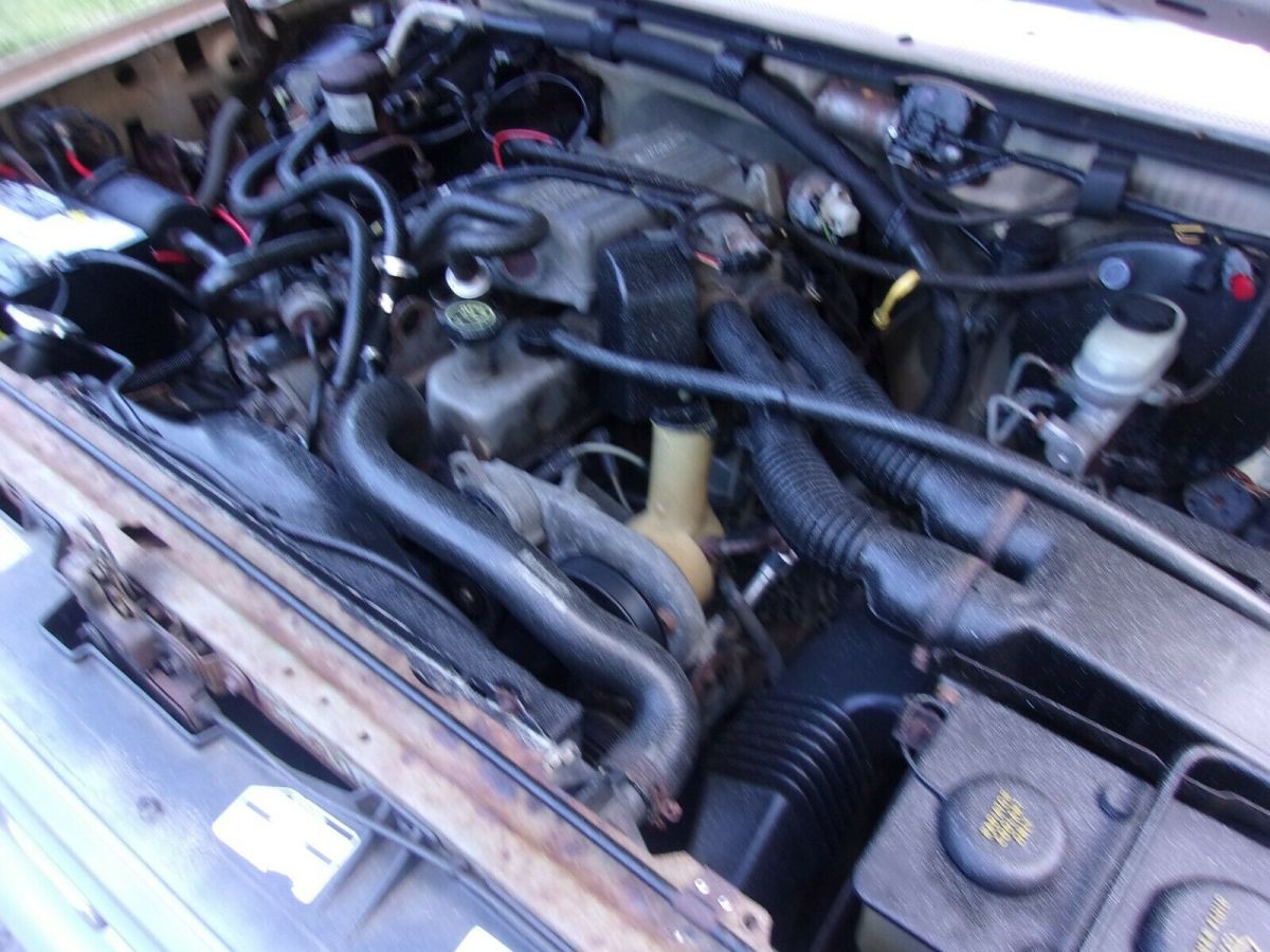 1991 Tan Ford F-150 Standard Cab Pickup