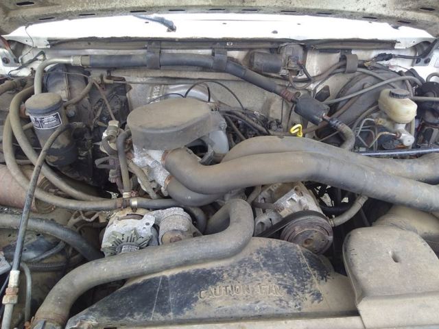 1991 white/gray Ford F-150 standard