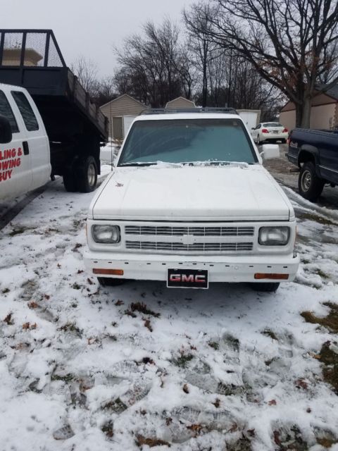 1991 White Chevrolet S-10 Standard Cab Pickup