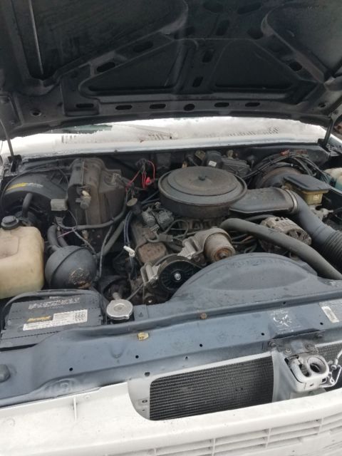 1991 White Chevrolet S-10 Standard Cab Pickup