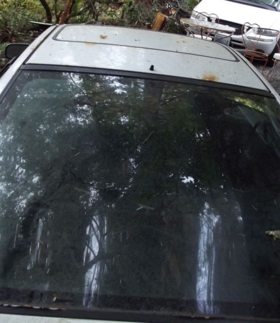 1991 Polar White Honda CRX Hatchback