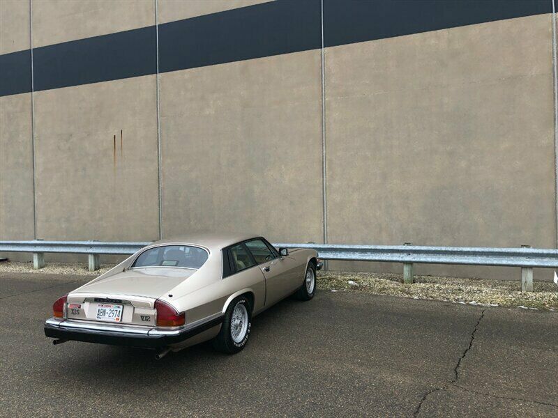 1991 Gold Jaguar XJ8 --