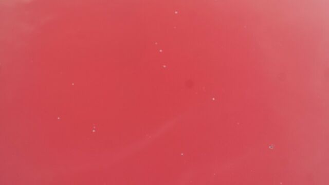 1991 Red Nissan 300ZX Coupe