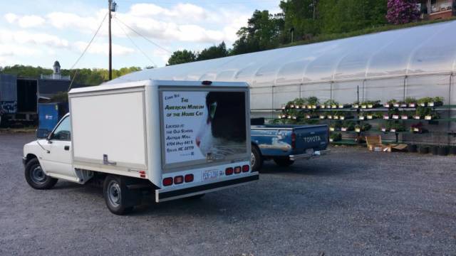 1991 White Toyota Tacoma pickup