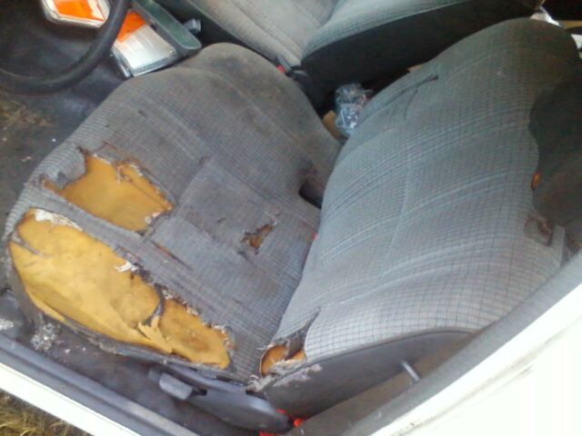 1991 White Toyota Tacoma Extended Cab Pickup