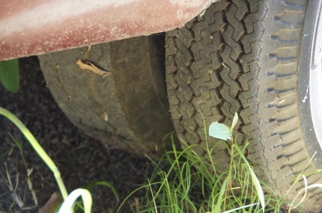 1992 grey white and rust Chevrolet C/K Pickup 3500 Extended Crew Cab Pickup