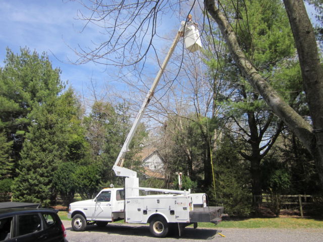 1992 White Ford F-350 Cab &- Chassis
