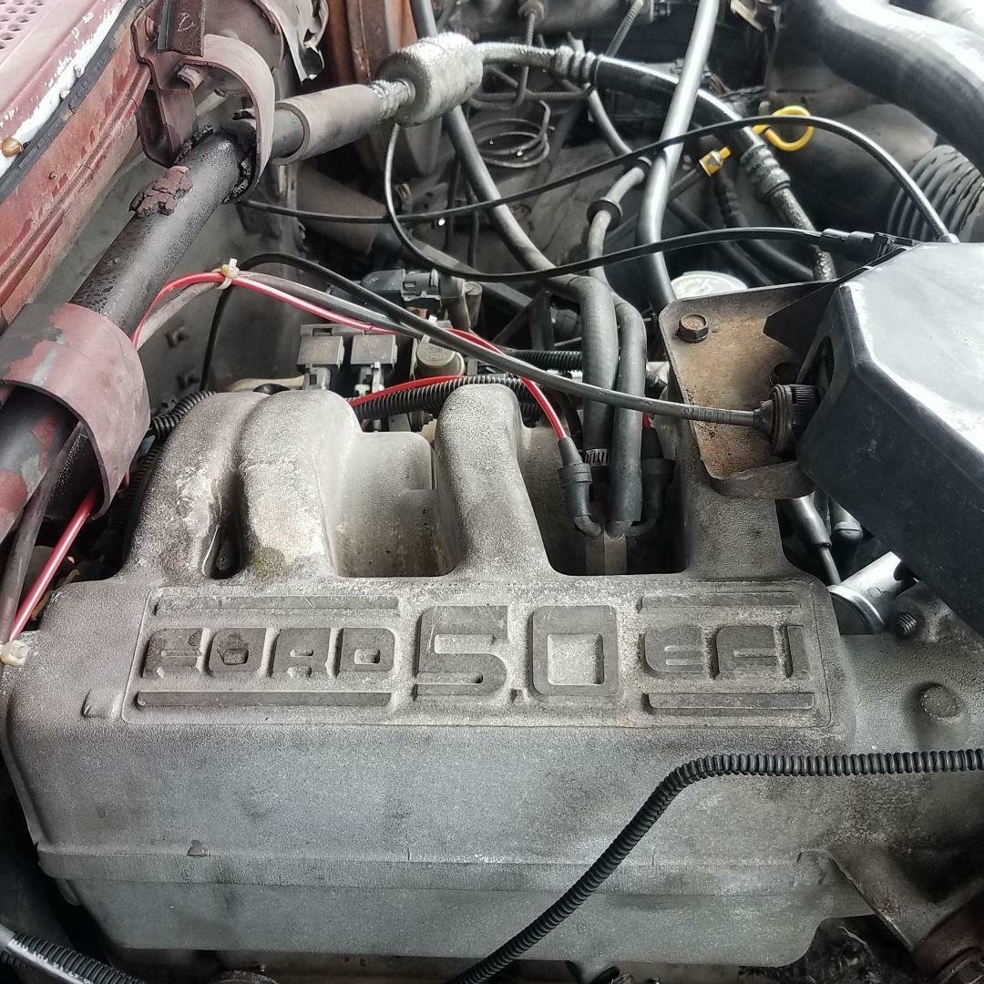 1992 Burgundy Ford F-150 Standard Cab Pickup