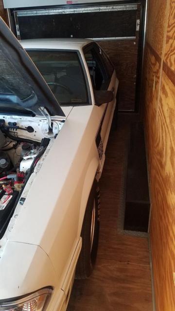1992 White Ford Mustang Hatchback