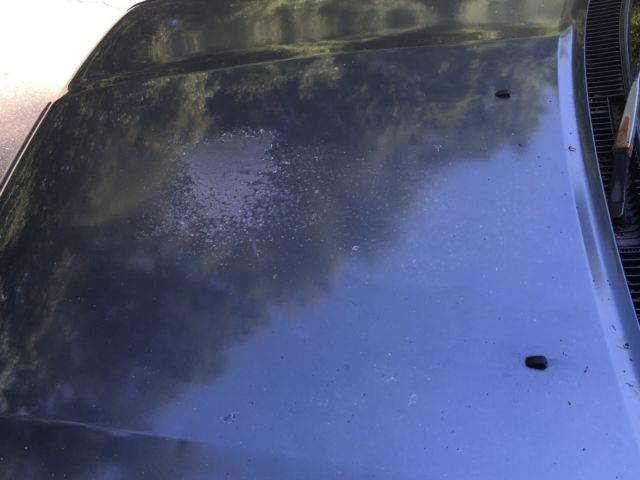 1992 Blue Toyota Corolla Wagon