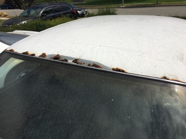 1992 White Toyota Camry Sedan