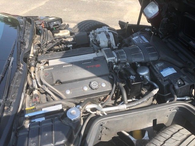 1993 40th naive. maroon Chevrolet Corvette Coupe