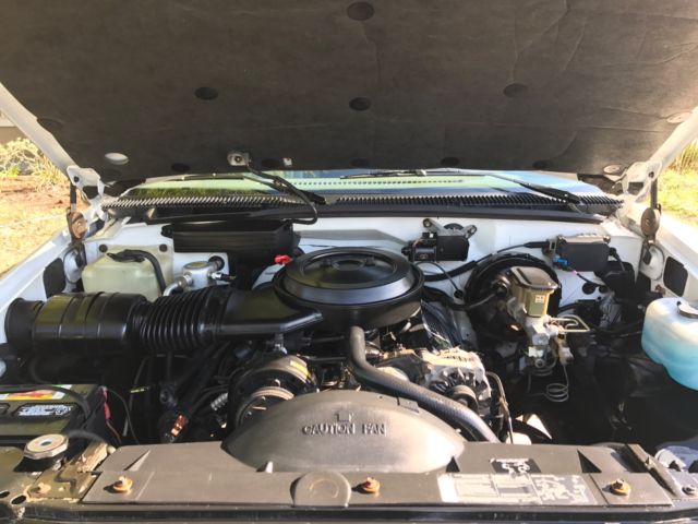 1993 White Chevrolet C/K Pickup 1500 Truck