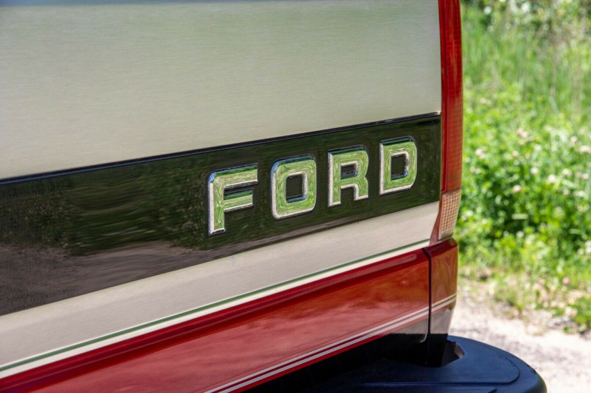 1993 Black/Red Ford F-150 Standard Cab Pickup