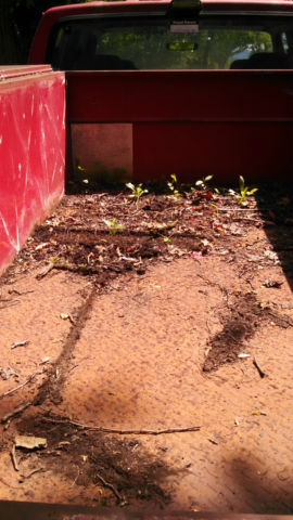 19930000 Red Ford F-350 Extended Crew Cab Pickup