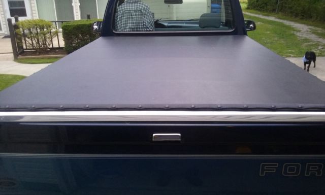 1993 Blue Ford F-150 Standard Cab Pickup