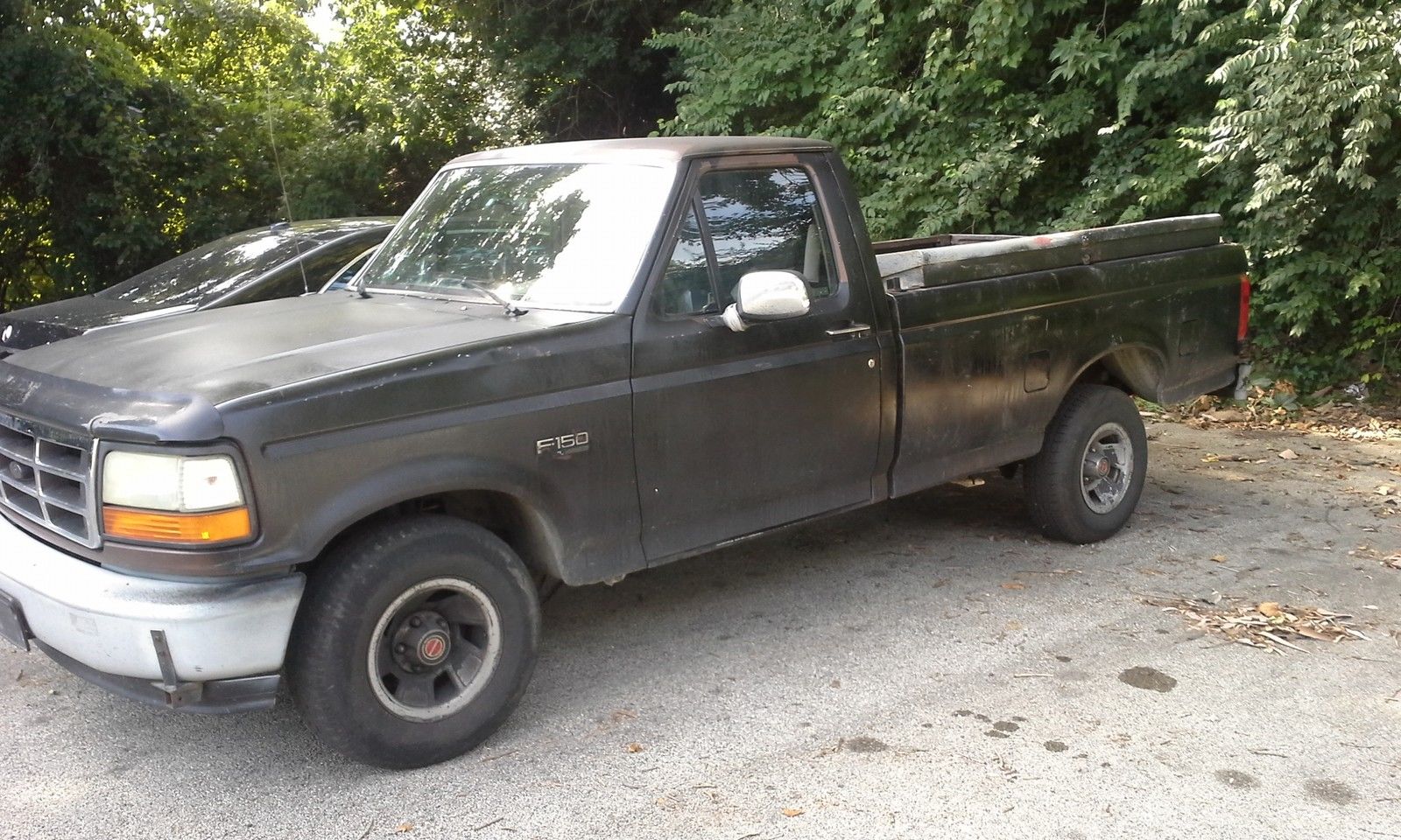 1993 Brown Ford F-150 Pickup Truck